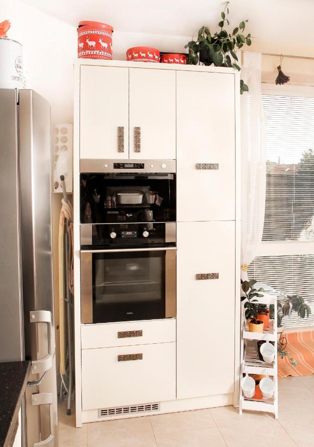 2-Izbovy Apartman Mlynica S Balkonom Dış mekan fotoğraf